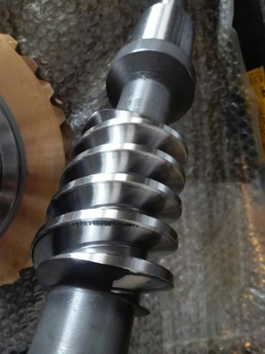395 mm Spitzendurchmesser Wurmwelle und Wurmgerät mit 0,2 kg Gewicht