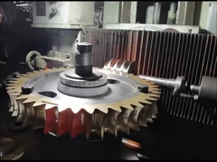 OEM ZCuAl10Fe3 Wurmwelle und Wurmgetriebe Set 15 Modul