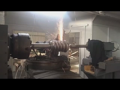 395 mm Spitzendurchmesser Wurmwelle und Wurmgerät mit 0,2 kg Gewicht